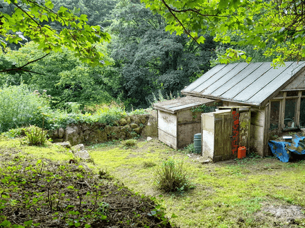 1 Acre of Woodland & Studio