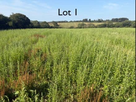 Lot 1 - 13.164 Acres of Productive Agrucultural Land 