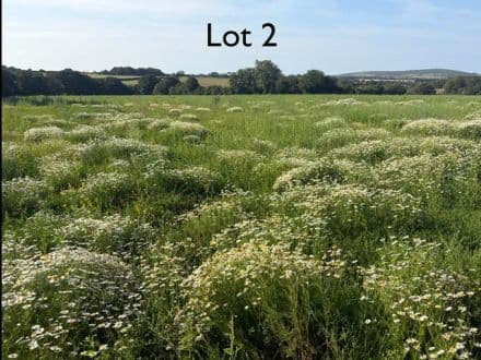Lot 2 - 13.187 Acres of Productive Agricultural Land