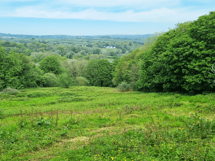 4.29 Acres of Land Near Buryas Bridge