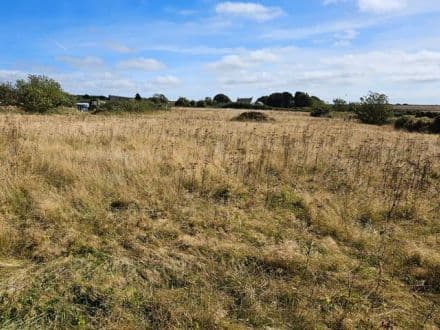 5.2 Acres of Land & Sheds
