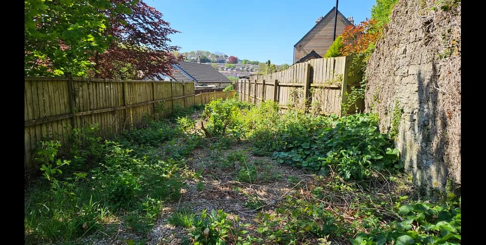 Property Image 0