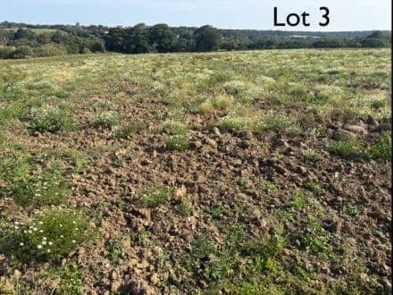 Lot 3 - 60.817 Acres of Productive Agricultural Land