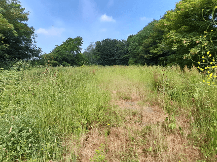 Land with expired conditional consent for four properties