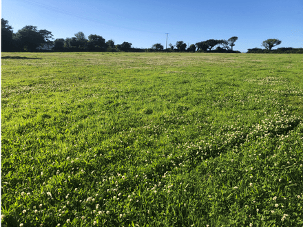 3.06 acres of land at Horsedowns, Camborne