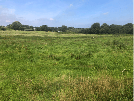 6.65 Acres of Land & Stables